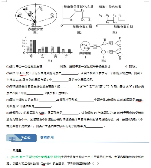 2026新人教版:高一生物下学期期中真题分类汇编,打印一份吃透了,期中考试拿高分! 第7张