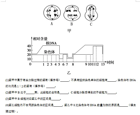 2026新人教版:高一生物下学期期中真题分类汇编,打印一份吃透了,期中考试拿高分! 第10张