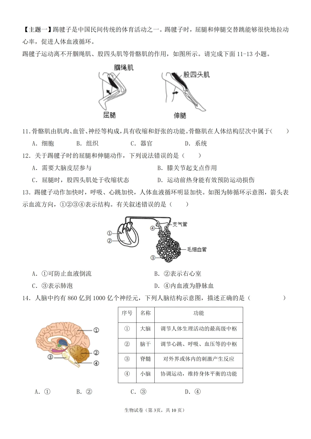 2026年广东省揭阳中考生物模拟试卷(附答案+试卷分析) 第3张