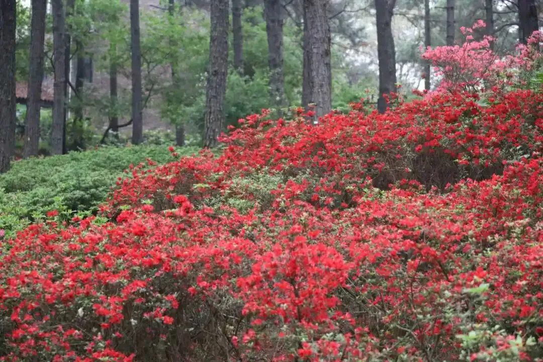 中考凡人微光作文指导范文(三) 第1张