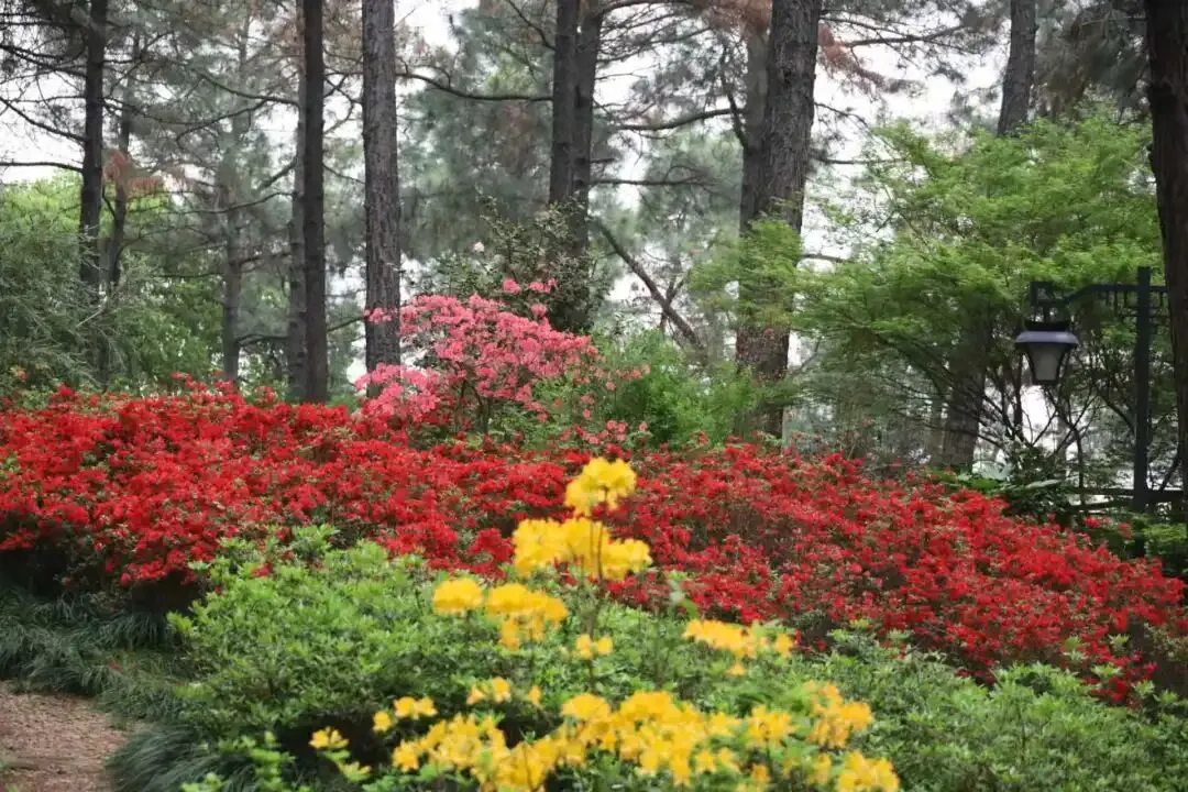 中考凡人微光作文指导范文(三) 第2张