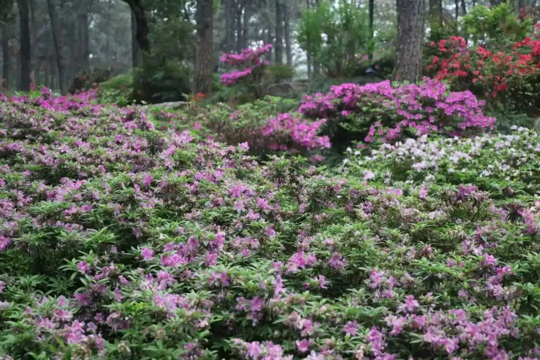 中考凡人微光作文指导范文(三) 第3张