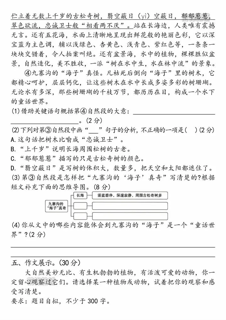 26春三年级语文下册期中真题卷(共6套,有答案)|刷完稳冲95+ 第11张