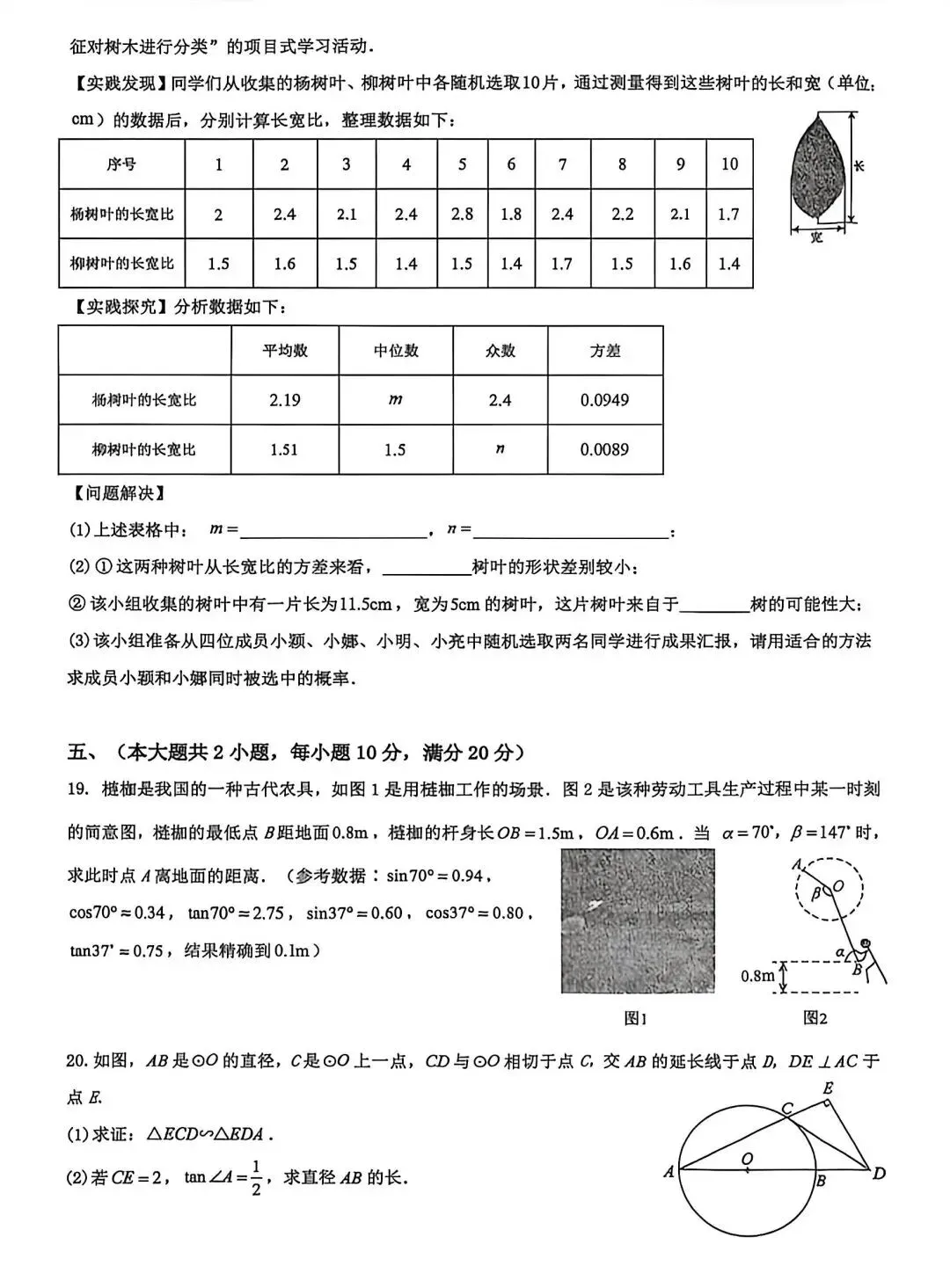 合肥市巢湖市2026中考一模数学试卷 第3张