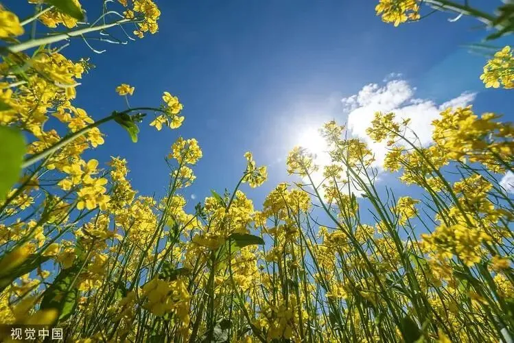 中考名著复习(六) 第1张