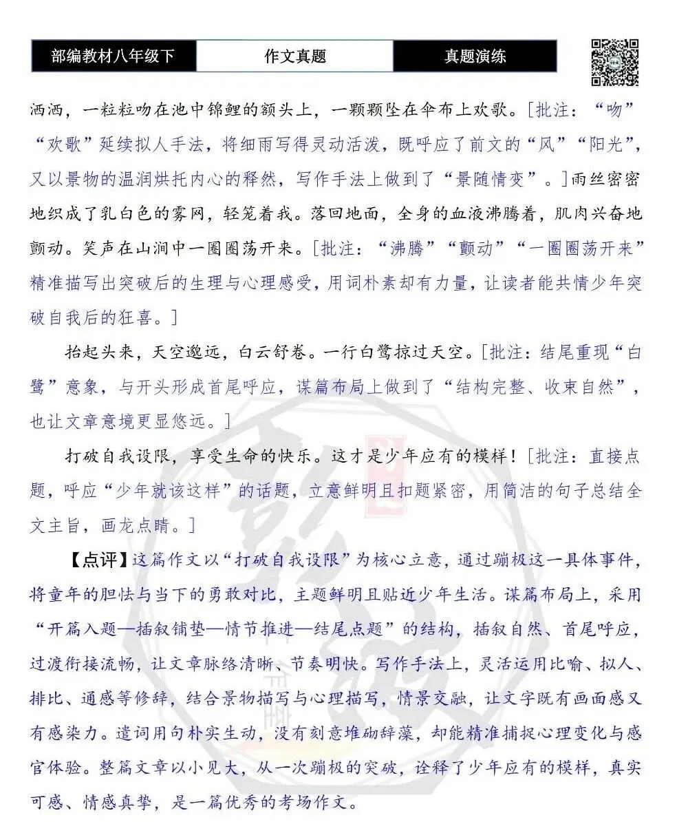 【作文-真题演练】八年级下-47-少年就该这样-思维导图+解析+范文批注指导 第8张