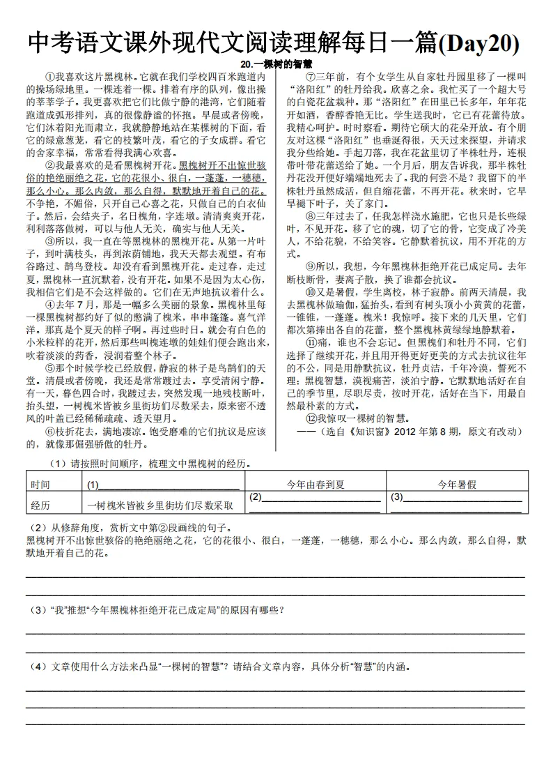 中考语文课外现代文阅读理解每日一篇练习 第22张