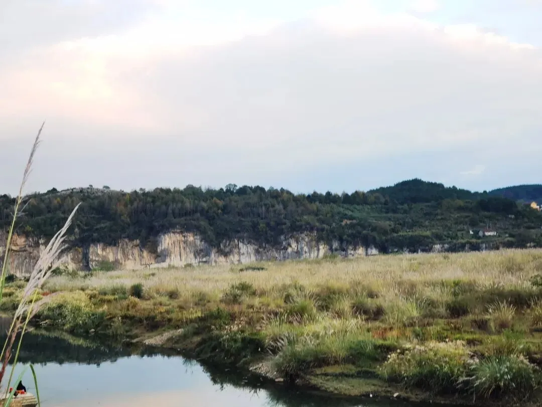 语文中考成语运用真题精选 第2张