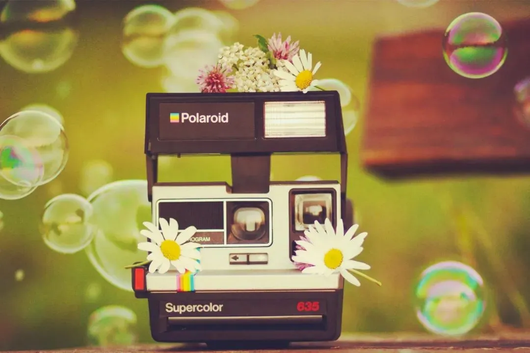 全篇快读:欣欣《为什么我的高考试卷总是白纸啊?》TXT阅读全文 第2张