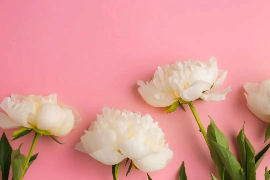 全篇快读:欣欣《为什么我的高考试卷总是白纸啊?》TXT阅读全文 第4张