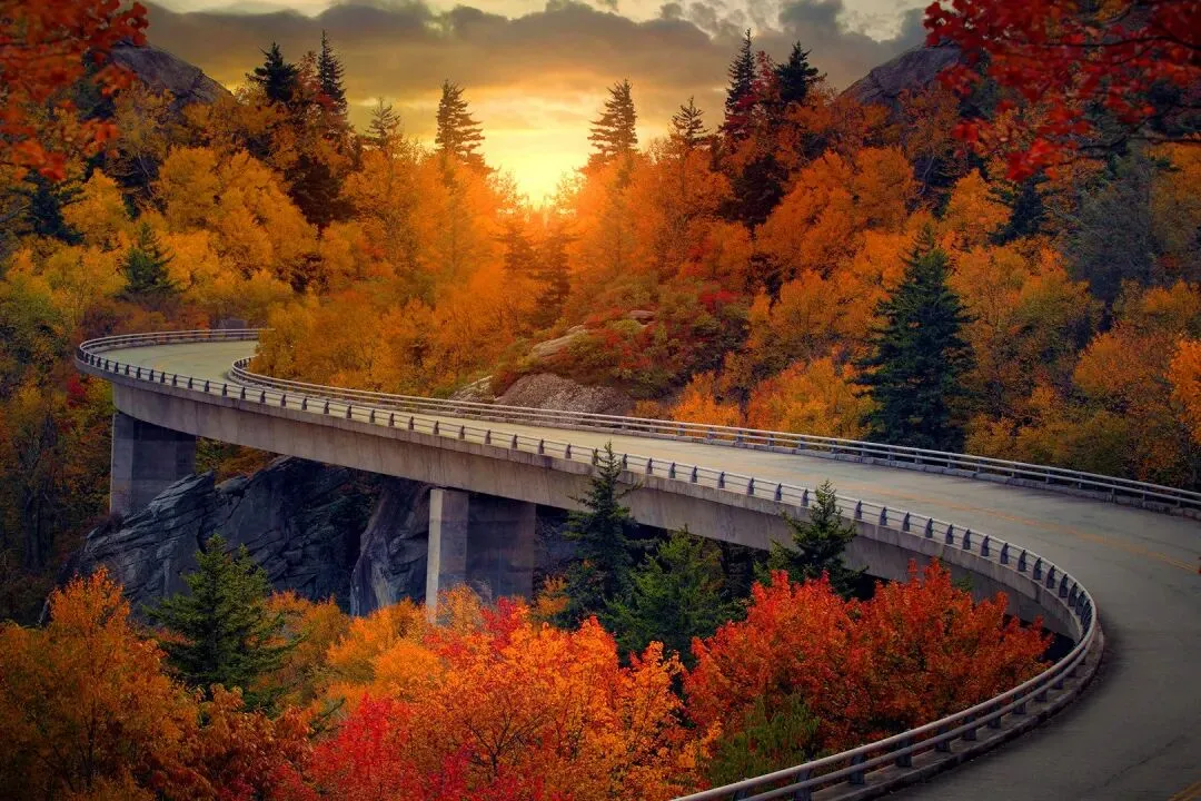 全篇快读:欣欣《为什么我的高考试卷总是白纸啊?》TXT阅读全文 第6张