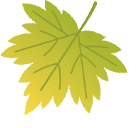 免费领取!1-6下全科《亮点大试卷》2026版 电子教辅,可下载练习! 第17张