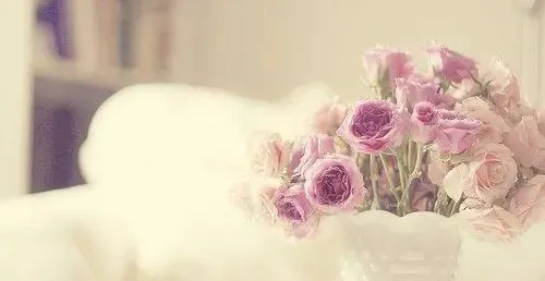 全篇快读:欣欣《为什么我的高考试卷总是白纸啊?》TXT阅读全文 第9张