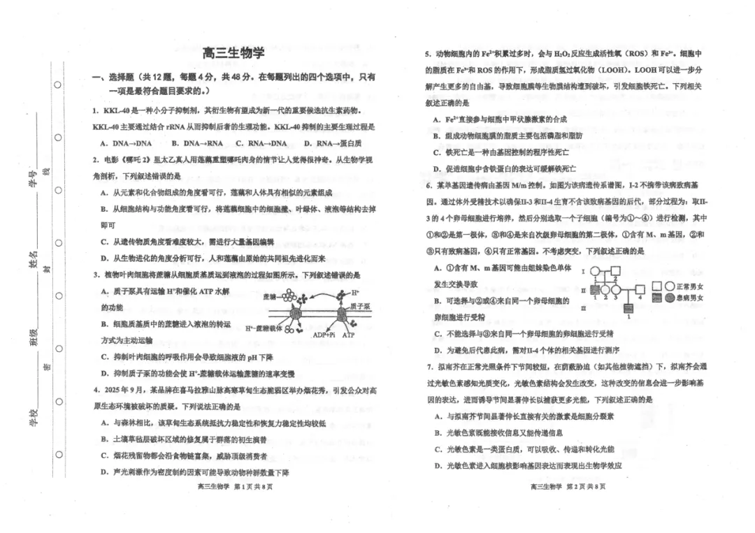 2026年天津红桥区高三一模 生物试卷及答案 第7张
