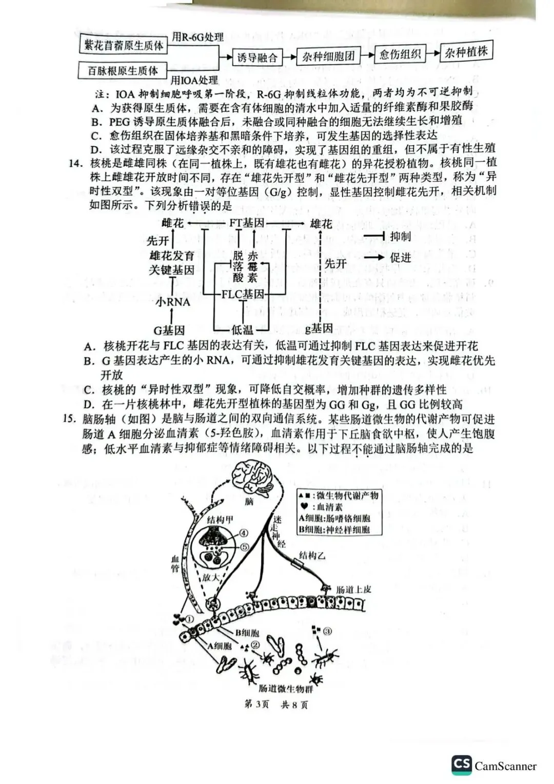 广东韶关市2026届高三下学期二模生物试卷 第3张