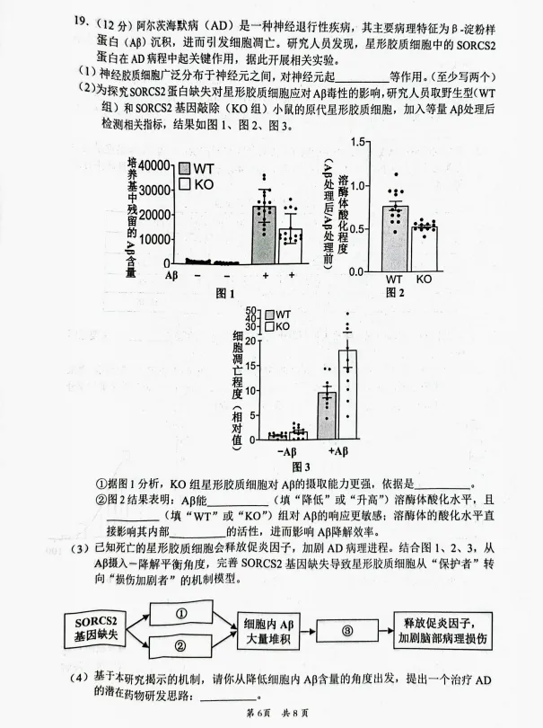 广东韶关市2026届高三下学期二模生物试卷 第6张