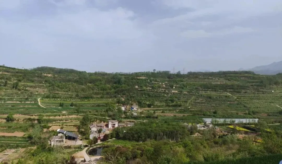 中考作文:我的诗与远方 第1张