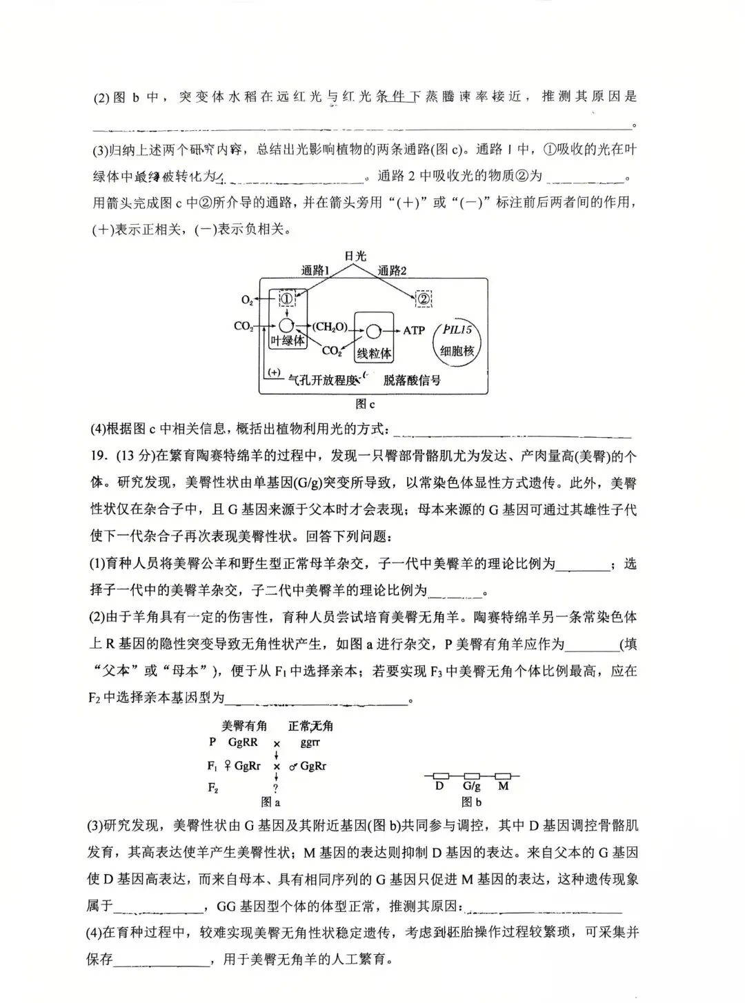 【生物】高考真题的官方答案(1) 第15张