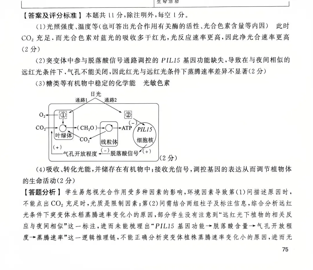 【生物】高考真题的官方答案(1) 第16张