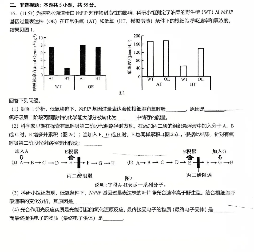 【生物】高考真题的官方答案(1) 第18张
