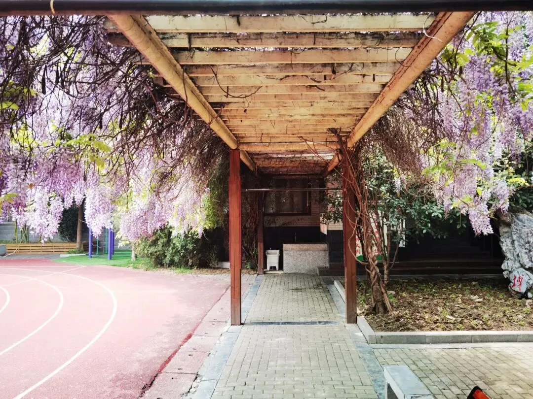 距离中考56天丨关于成绩,关于努力 第2张