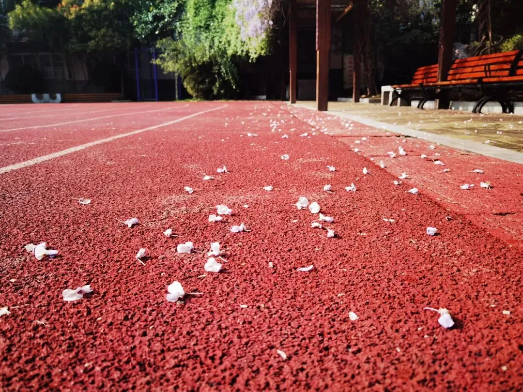 距离中考56天丨关于成绩,关于努力 第3张