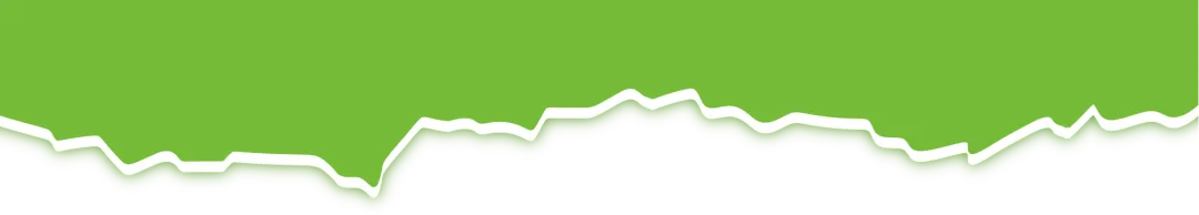 游泳中考班火热招生,零基础也能冲刺满分! 第13张