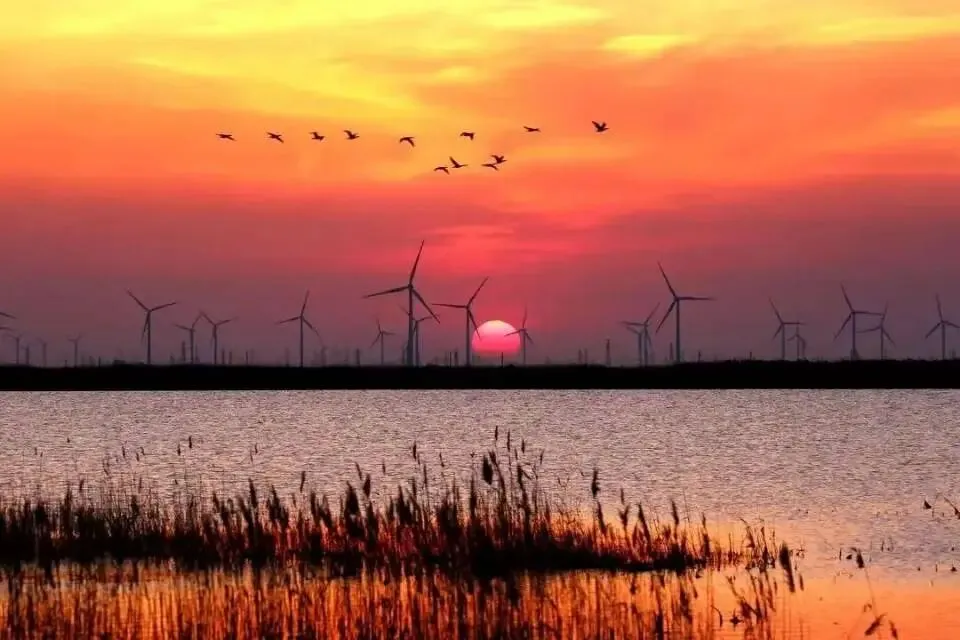 26山东真题:“十五五”开局之年,作为经济黑马、礼仪之邦,开局当有开局之势、起步之为.山东肩负着“走在前、开新局”的重大使命? 第1张