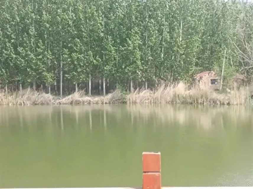 26山东真题:“十五五”开局之年,作为经济黑马、礼仪之邦,开局当有开局之势、起步之为.山东肩负着“走在前、开新局”的重大使命? 第2张