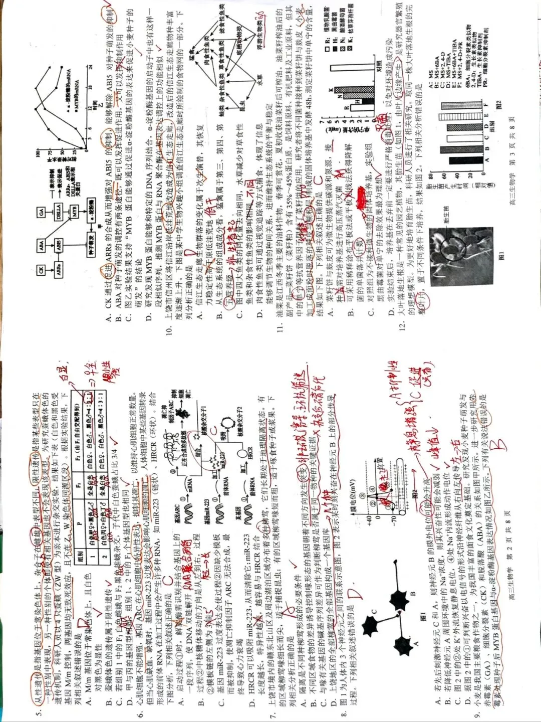 【做题】上饶市2026年二模试卷 第2张