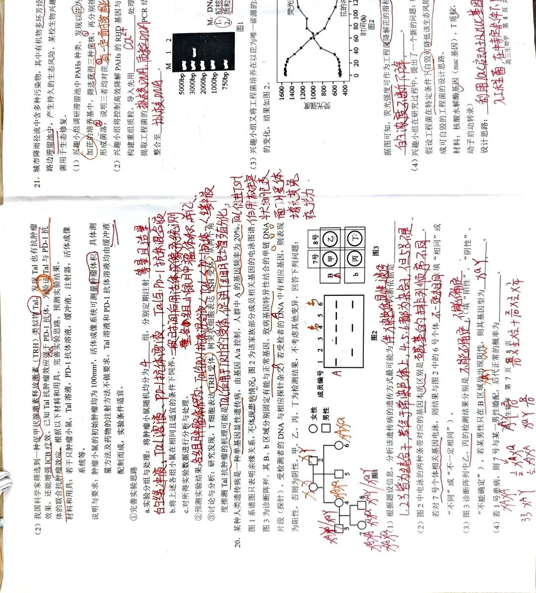 【做题】上饶市2026年二模试卷 第6张