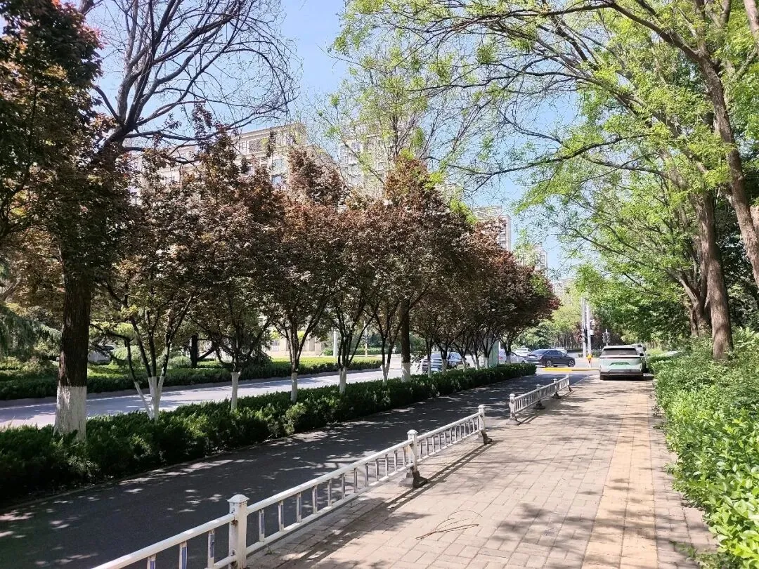 2026济南中考体育考试陪考记 第1张