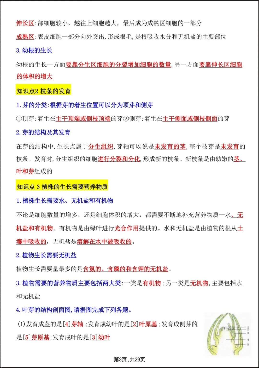 2026人教版七年级生物下学期【期中考试模拟卷】+期中知识点总结,完整电子版可下载打印! 第17张
