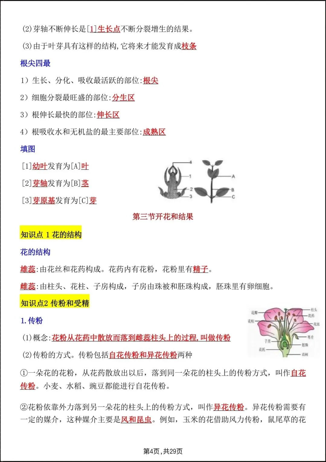 2026人教版七年级生物下学期【期中考试模拟卷】+期中知识点总结,完整电子版可下载打印! 第18张