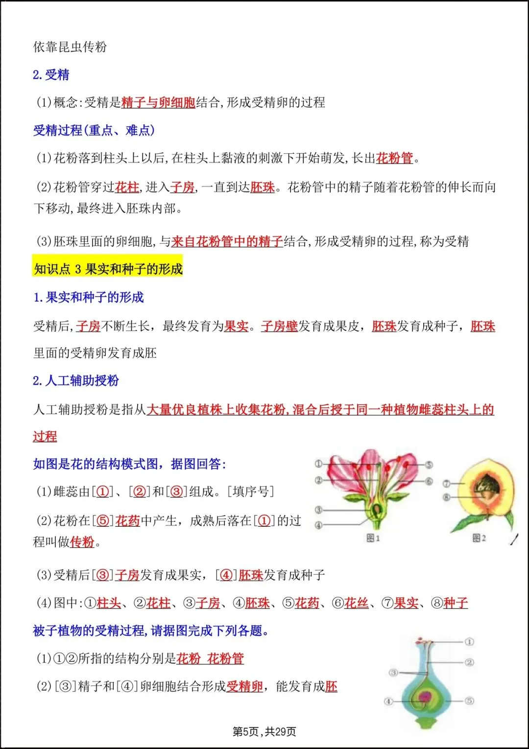 2026人教版七年级生物下学期【期中考试模拟卷】+期中知识点总结,完整电子版可下载打印! 第19张