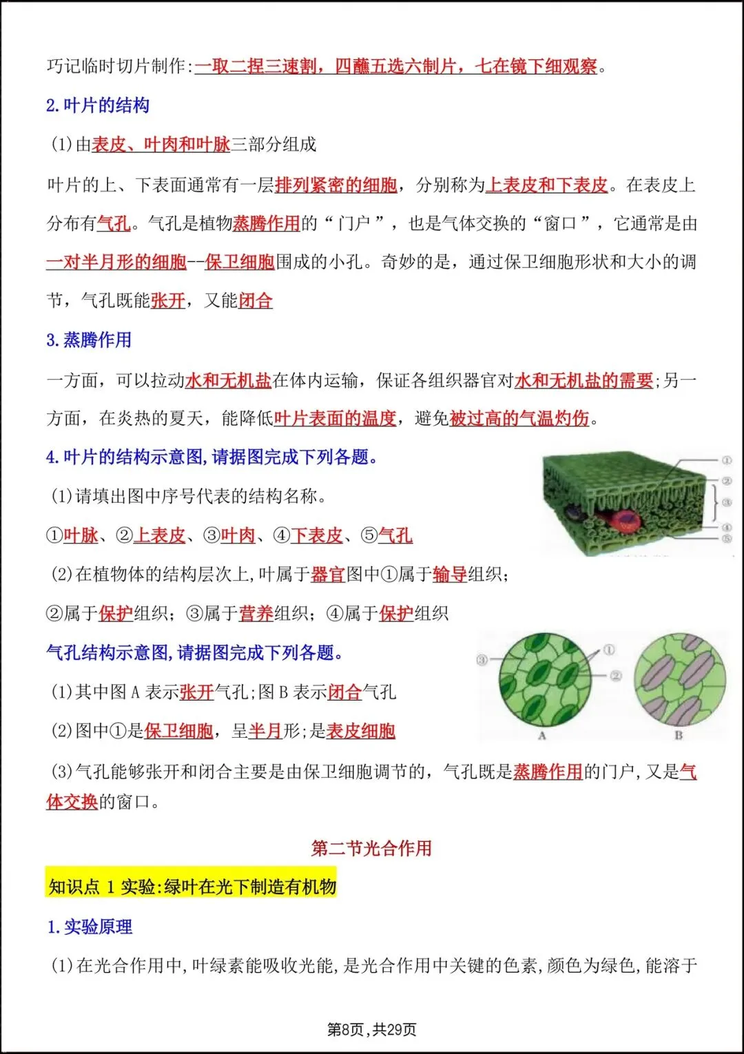 2026人教版七年级生物下学期【期中考试模拟卷】+期中知识点总结,完整电子版可下载打印! 第22张