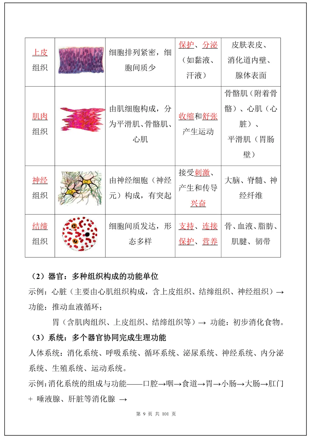 26春九年级下册中考生物必背考点汇总(108大考点)(全国通用)|高清电子版可打印 第5张
