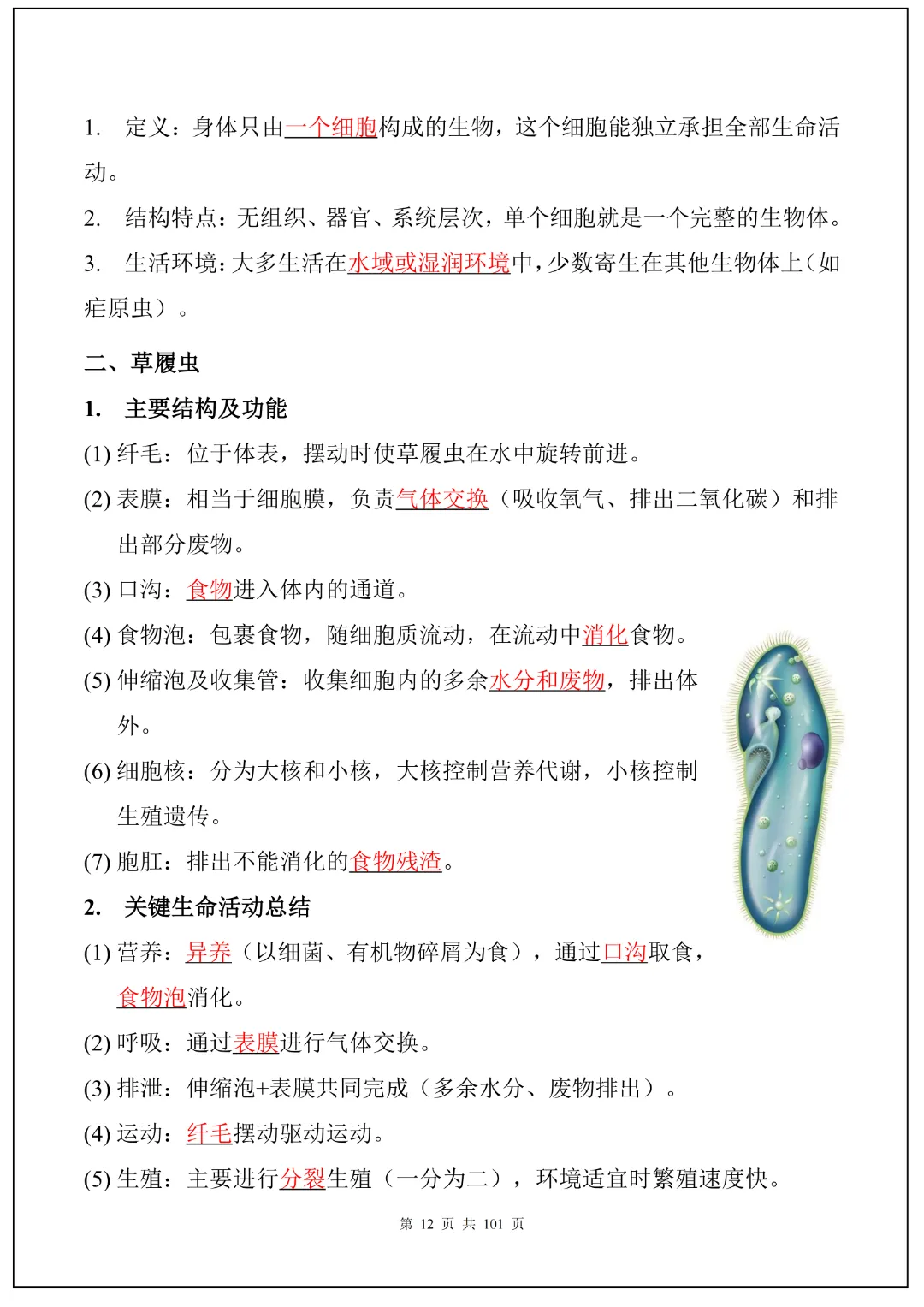 26春九年级下册中考生物必背考点汇总(108大考点)(全国通用)|高清电子版可打印 第6张