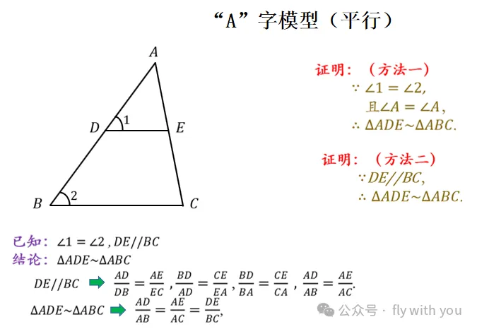 【中考数学】最全相似模型 第3张