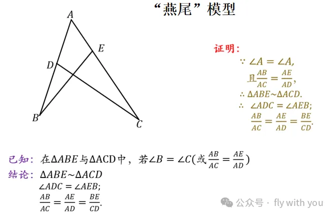 【中考数学】最全相似模型 第9张