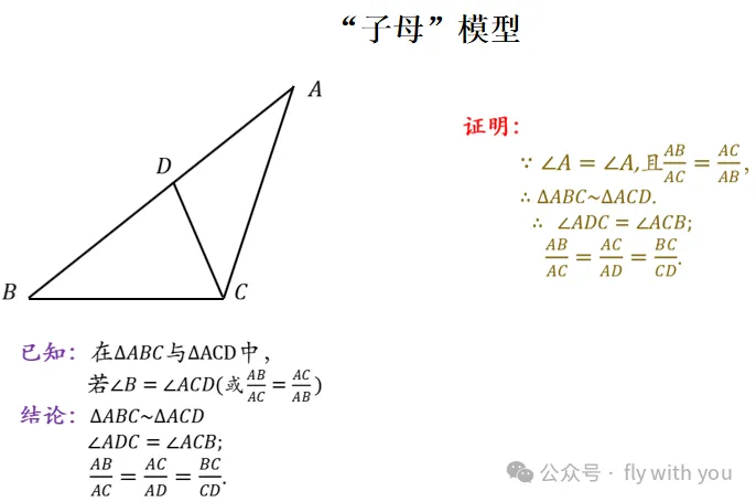【中考数学】最全相似模型 第10张