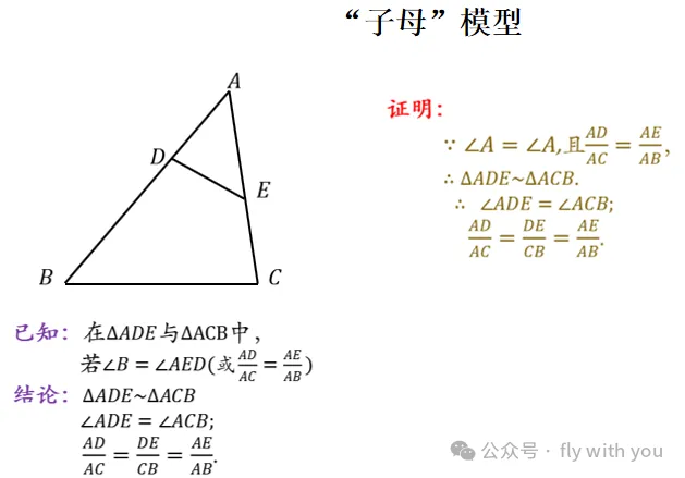 【中考数学】最全相似模型 第11张