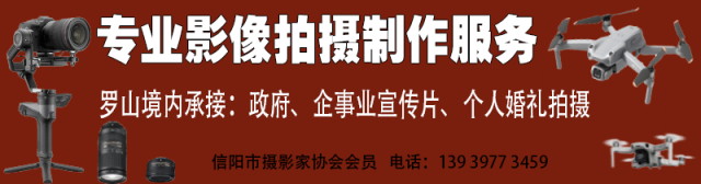 河南2026年中考 “15禁” 第1张