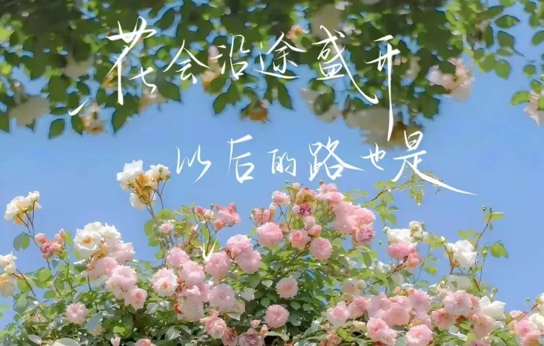 班级励志语录|每日一句,激励学生冲刺中考 第2张