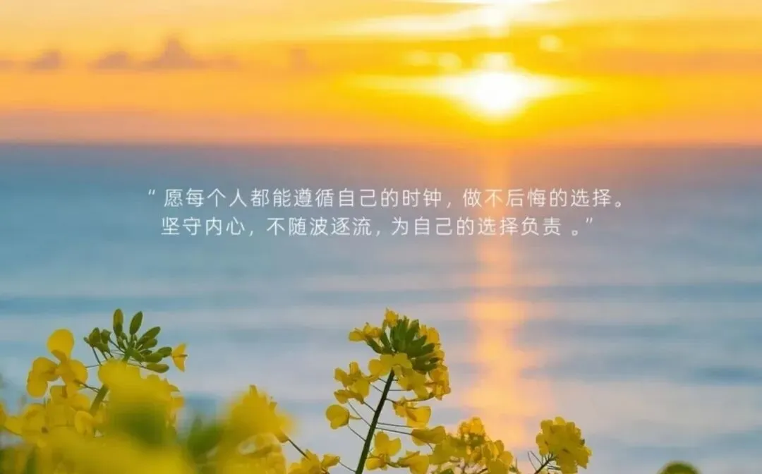 班级励志语录|每日一句,激励学生冲刺中考 第5张