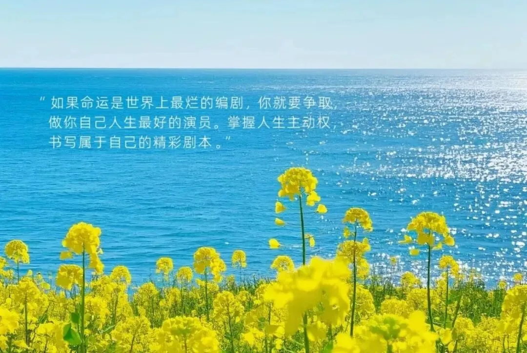 班级励志语录|每日一句,激励学生冲刺中考 第7张