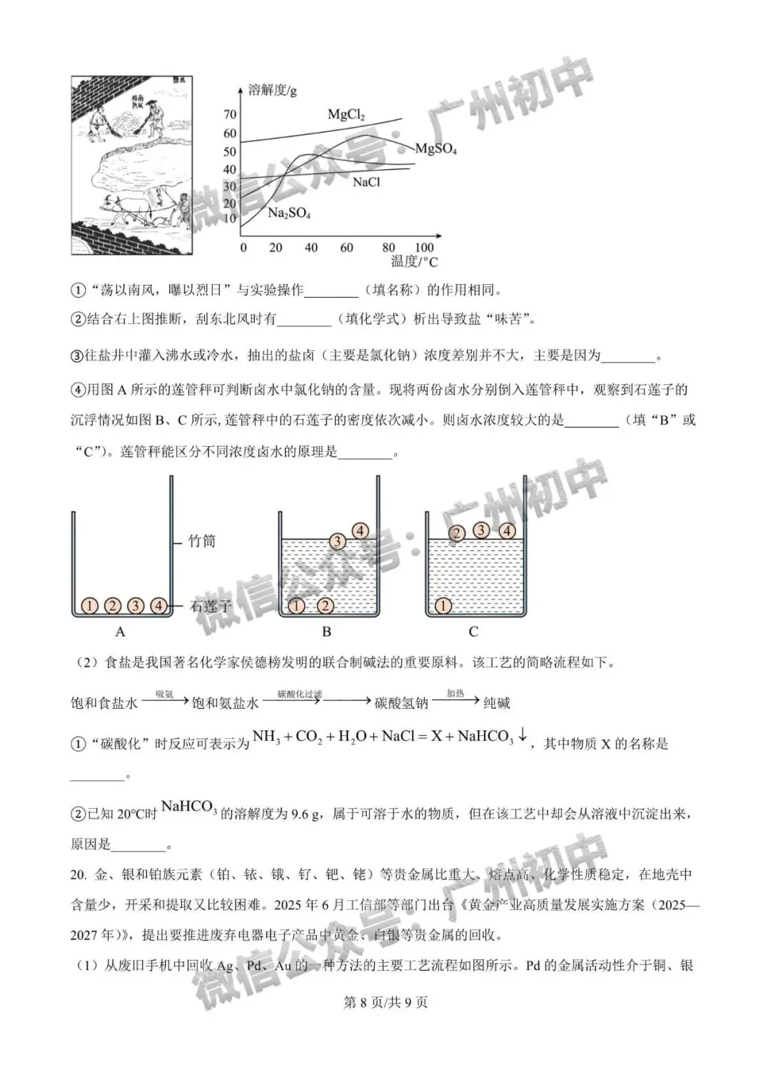 一模统考在即!2026 广州名校一模真题速领下载! 第23张