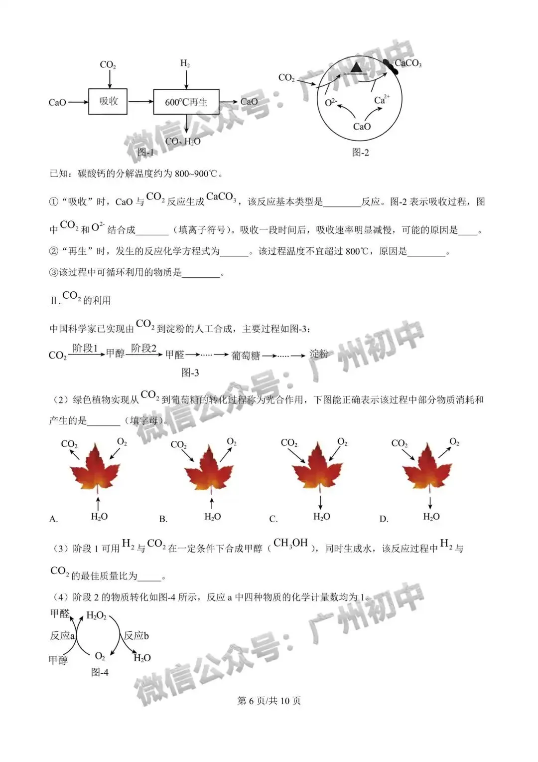 一模统考在即!2026 广州名校一模真题速领下载! 第31张