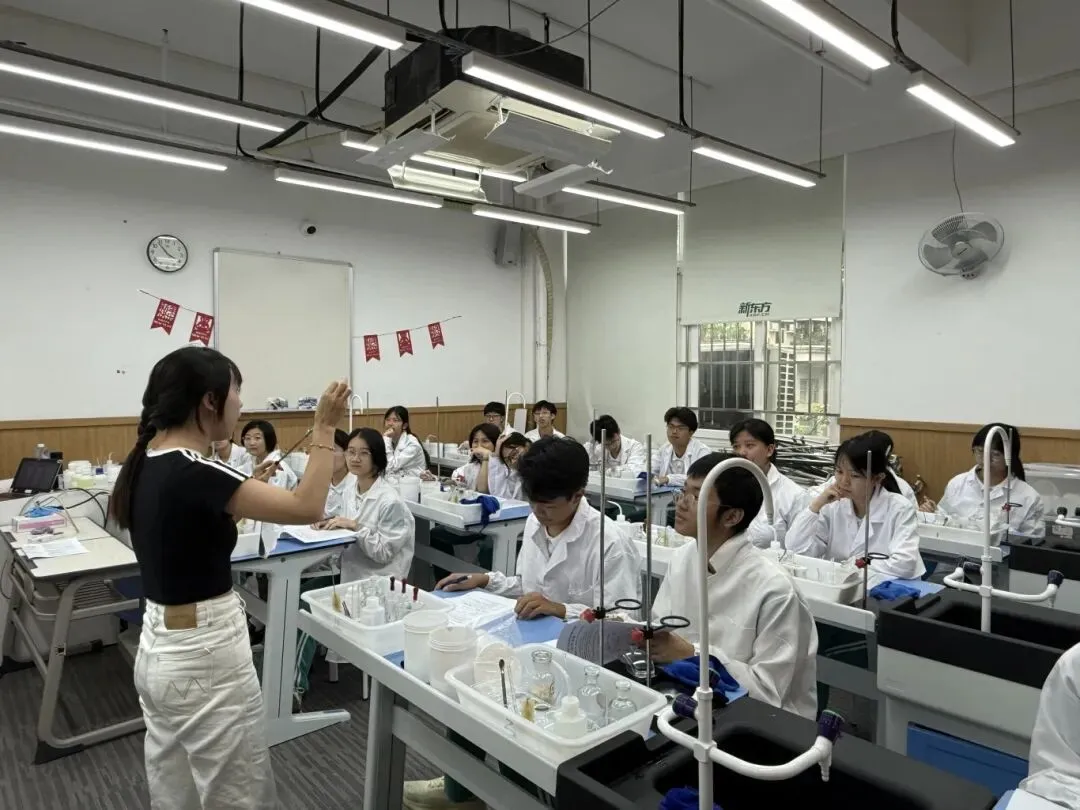 对标中考实战!备考2026中考物化实验专项训练 第4张