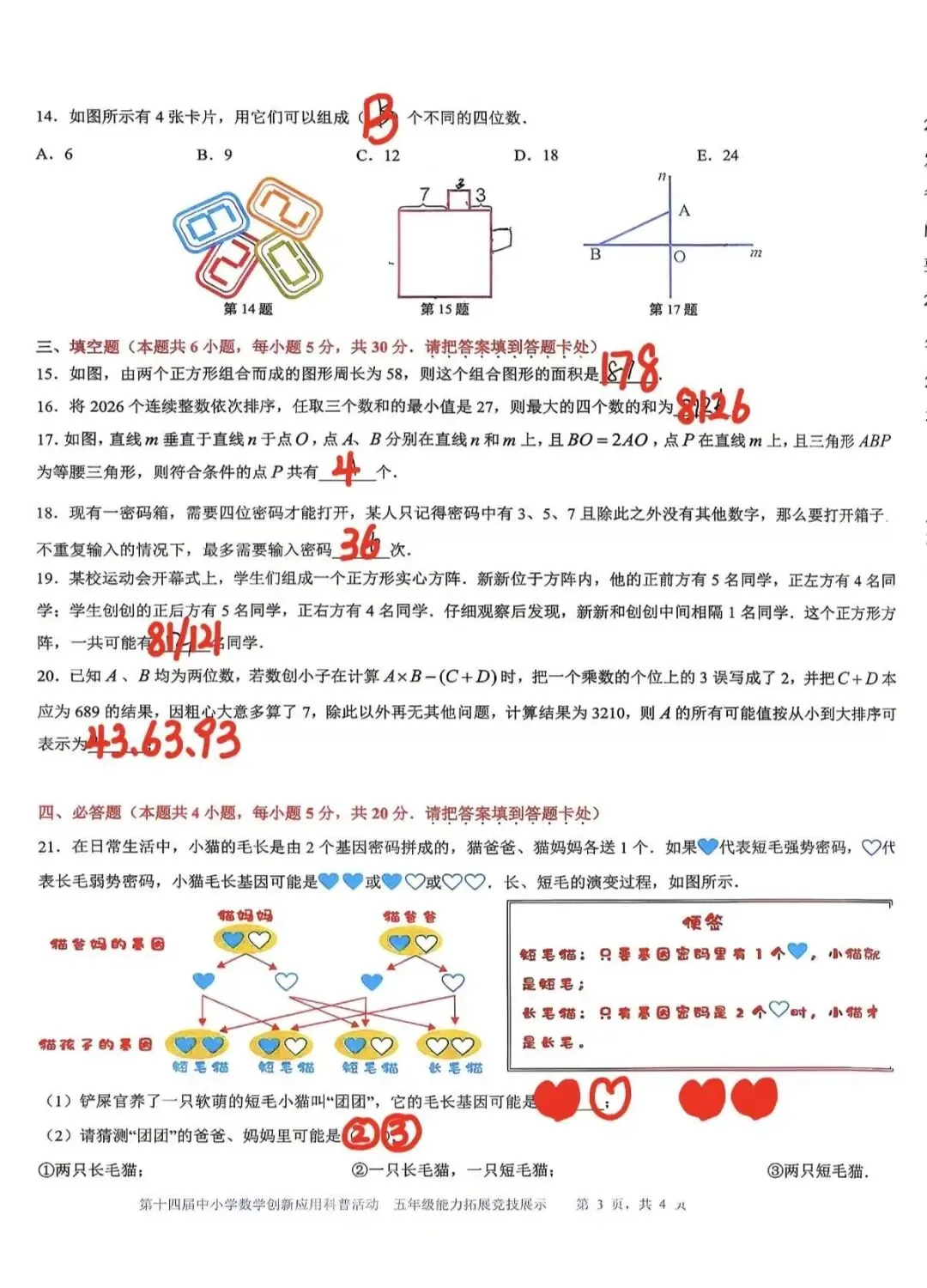 2026年4月第十四届数创五年级复赛真题答案 第5张